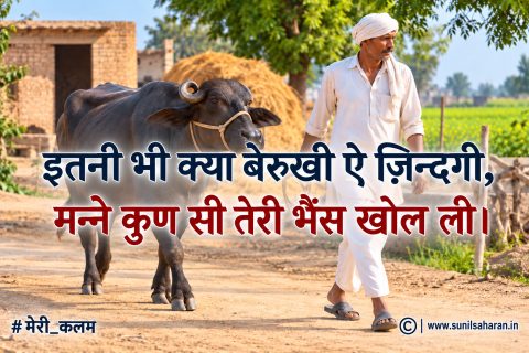 इतनी भी क्या बेरुखी ऐ ज़िन्दगी, (photo 3)